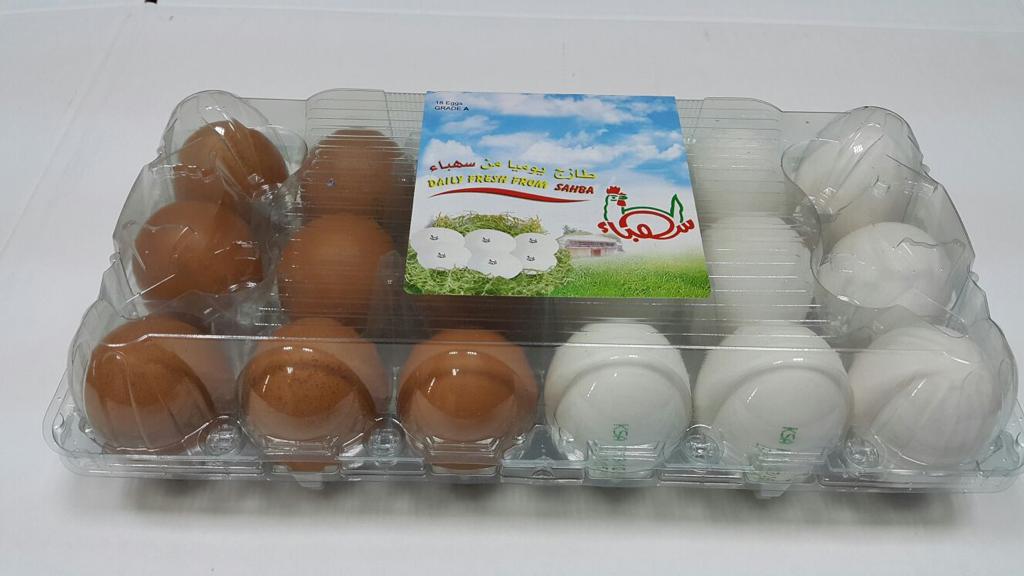 Fresh table eggs